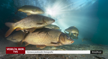 Magazín Veselí nad Moravou 19. 9. 2020