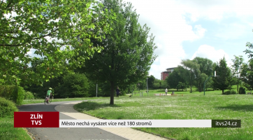 Město nechá vysázet více než 180 stromů