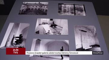 Prostory krajské galerie zdobí tvorba Adrieny Šimotové