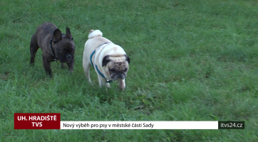 Nový výběh pro psy v městské části Sady