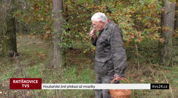 Houbařské žně překazí až mrazíky 