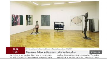 Organizace Baťova institutu opět nabízí služby on-line