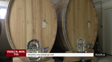 Veselská vína dobývají svět