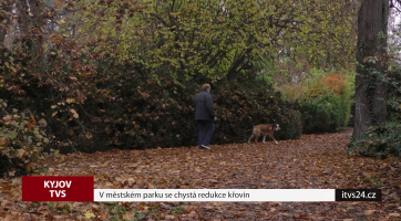 V městském parku se chystá redukce křovin