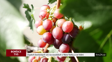 Úspěch boršických vín na soutěžích v New Yorku a ve Vídni