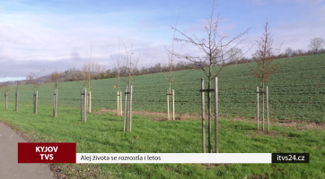 Alej života se rozrostla i letos