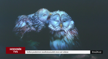 Velká podzimní zoofotosoutěž zná své vítěze