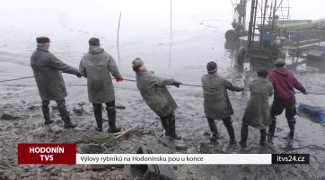 Výlovy rybníků na Hodonínsku jsou u konce
