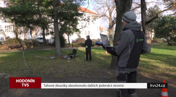 Tahové zkoušky absolvovalo dalších jedenáct stromů