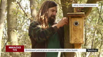 Brontosauři pokračují ve vysazování stromů i věšení budek