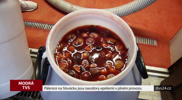 Pálenice na Slovácku jsou navzdory epidemii v plném provozu