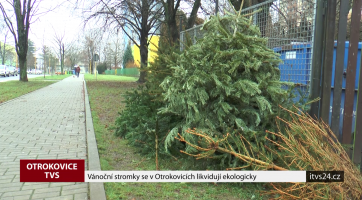 Vánoční stromky se v Otrokovicích likvidují ekologicky 