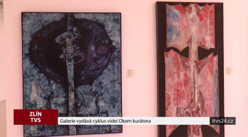 Galerie vydává cyklus videí Okem kurátora