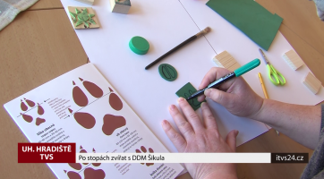 Po stopách zvířat s DDM Šikula