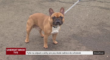 Pytle na odpad a sáčky pro psy dodá radnice do schránek