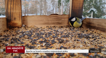 Naučte se hravě a snadno rozpoznávat ptáky