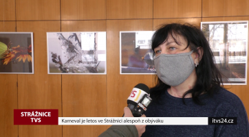 Karneval je letos ve Strážnici alespoň z obýváku