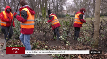 V městském parku probíhá úprava zeleně