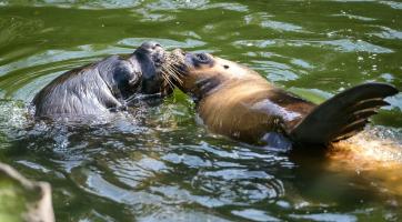 Zlínskou zoo podpořili lidé z celé republiky, dostala se z krize