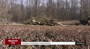 Zámeckou bažantnici čeká proměna