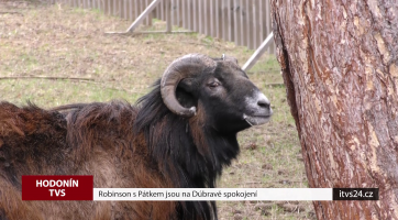 Robinson s Pátkem jsou na Dúbravě spokojení