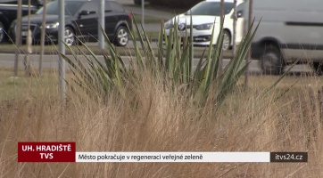 Město pokračuje v regeneraci veřejné zeleně