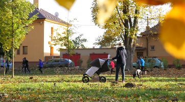 Zapojte se do národní pohybové výzvy