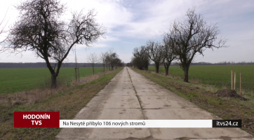 Na Nesytě přibylo 106 nových stromů