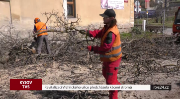 Revitalizaci Vrchlického ulice předcházelo kácení stromů