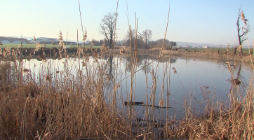 Uherský Brod 3. 4. 2021