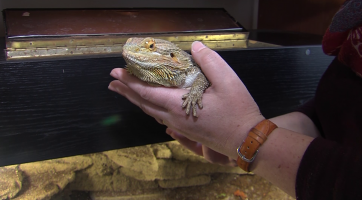 Magazín Uherské Hradiště 17. 4. 2021