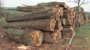 Magazín Uherský Brod 17. 4. 2021