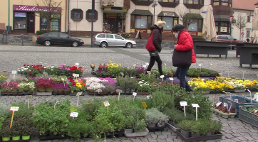 Na Masarykově náměstí už se zase prodává