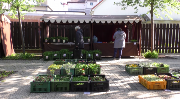 Trhy dočasně probíhají na Panském dvoře