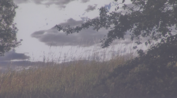 Knihovna nabízí novou fotografickou výstavu