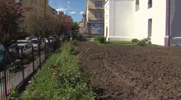 Okolí Chrámu Mistra Jana Husa zkrášlí patronátní stromy