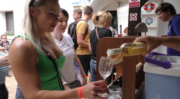 Vinaři znovu otevřou sklepy pro turisty