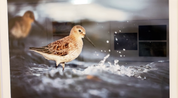 Čtyřicátý třetí ročník fotografické soutěže zná své vítěze