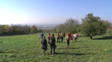 Rochus čekají pozemkové úpravy