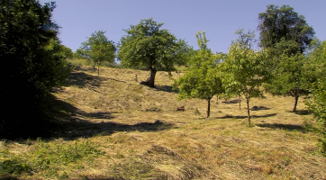 Magazín Uherský Brod 19. 6. 2021