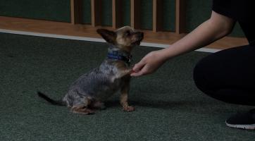 Zlínský kraj podpoří zkvalitnění výuky v kroměřížské a uherskobrodské škole částkou přesahující 7 milionů korun.