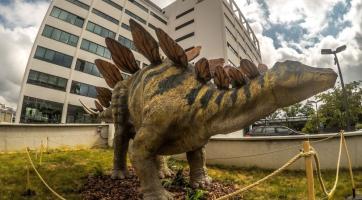 Ve Zlíně bude k vidění jedinečná výstava Zdeňka Buriana