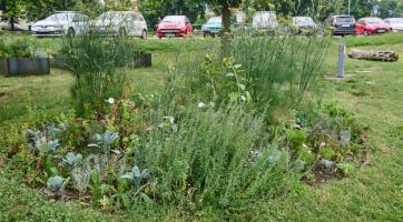 Lidmilova louka dělá radost kolemjdoucím