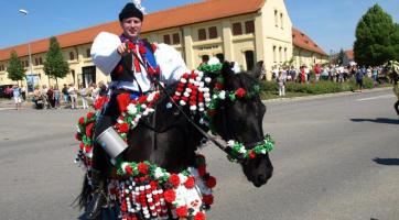 Jízda králů Kunovice 2021