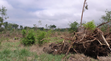Vstup do lesů kolem Hodonína je zakázaný