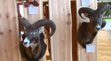 Valašské slavnosti myslivosti v Pozděchově