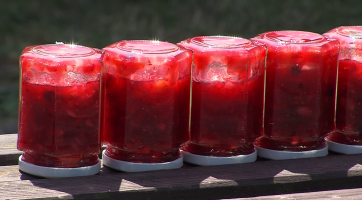 Příměstský tábor v zahradě lišky Bystroušky