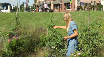 Lidmilovu louku provoněly bylinky