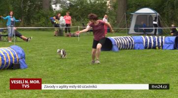 Závody v agility měly 60 účastníků
