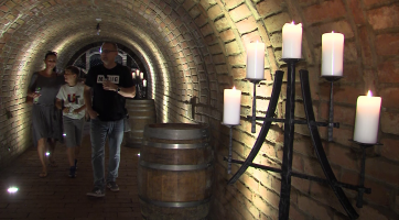 Putování Vinohraskou ulicí se vydařilo